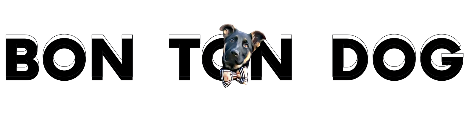 BON TON DOG
